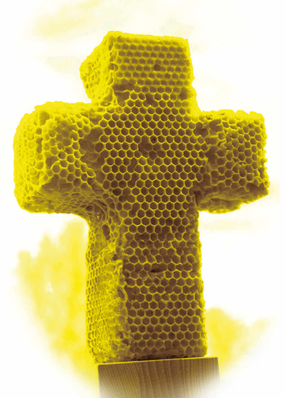 Susanne-Beringer-behüten